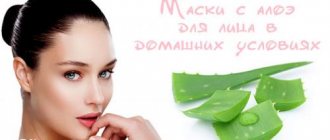 Алоэ в ампулах для лица: удивительное средство (топ-5 рецептов)