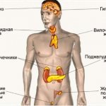 болезни эндокринной системы