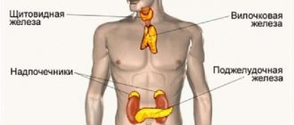 endocrine system diseases