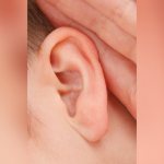 Человеку недостаточно иметь ухо как орган восприятия, все чаще его заботит красота формы