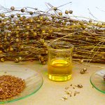 Эволюция продукта от семян до масла