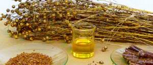 Product evolution from seed to oil