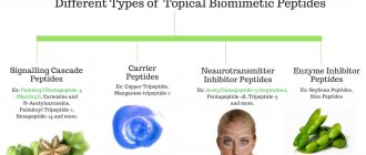 Geroprotectors for skin rejuvenation