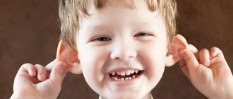 корректор для ушей арилис