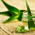 Homemade face mask with aloe and honey. Aloe with honey: face mask 
