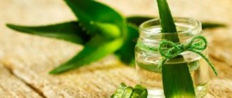 Homemade face mask with aloe and honey. Aloe with honey: face mask