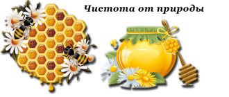 honey facial massage 3