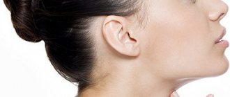 подбородок