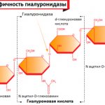 Препараты гиалуронидазы - Рис.1