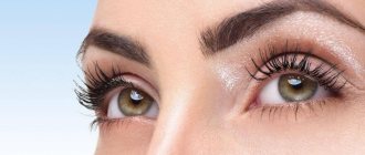 Eyelash lamination procedure: essence, stages, duration