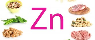 Zinc-rich foods