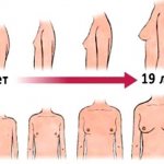 girl breast growth