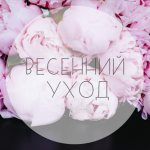 Уход за кожей весной