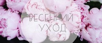 Skin care in spring