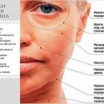 Уход за лицом после 40 лет: советы косметолога, аптечные, народные средства, лечебная косметика